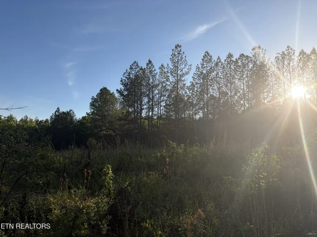 68 Black Bear Lane Sunbright TN 37872