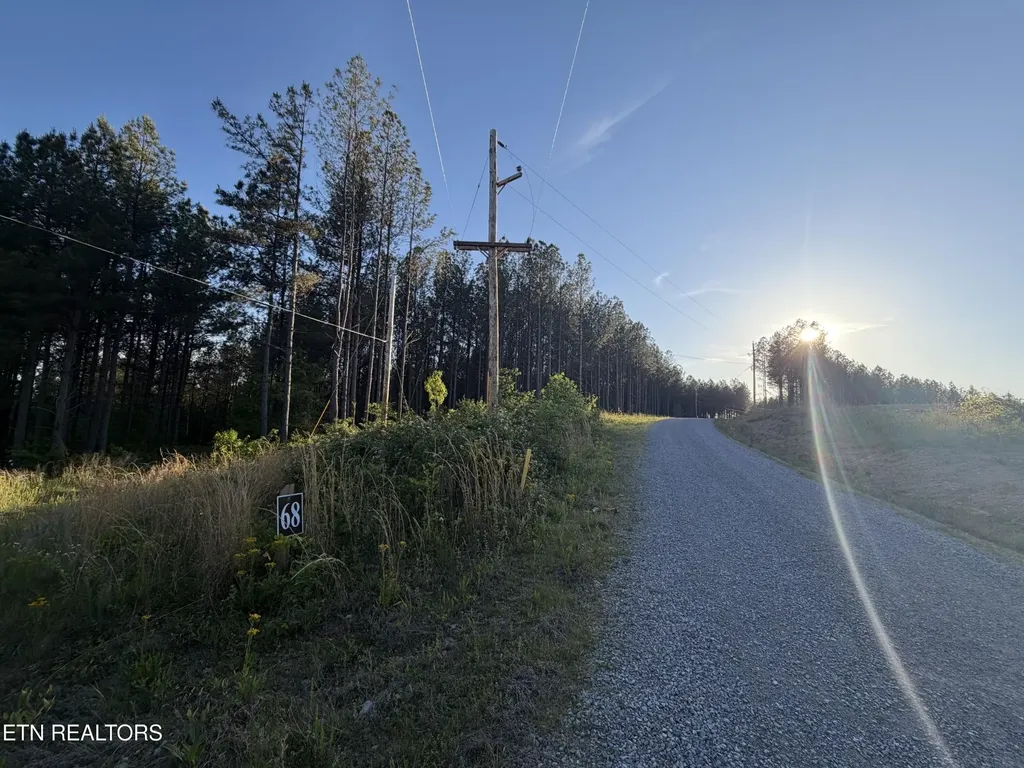 68 Black Bear Lane Sunbright TN 37872