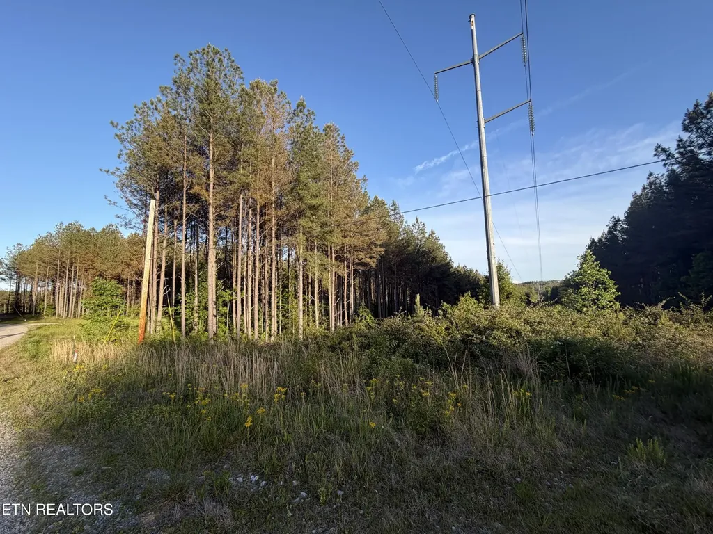 68 Black Bear Lane Sunbright TN 37872