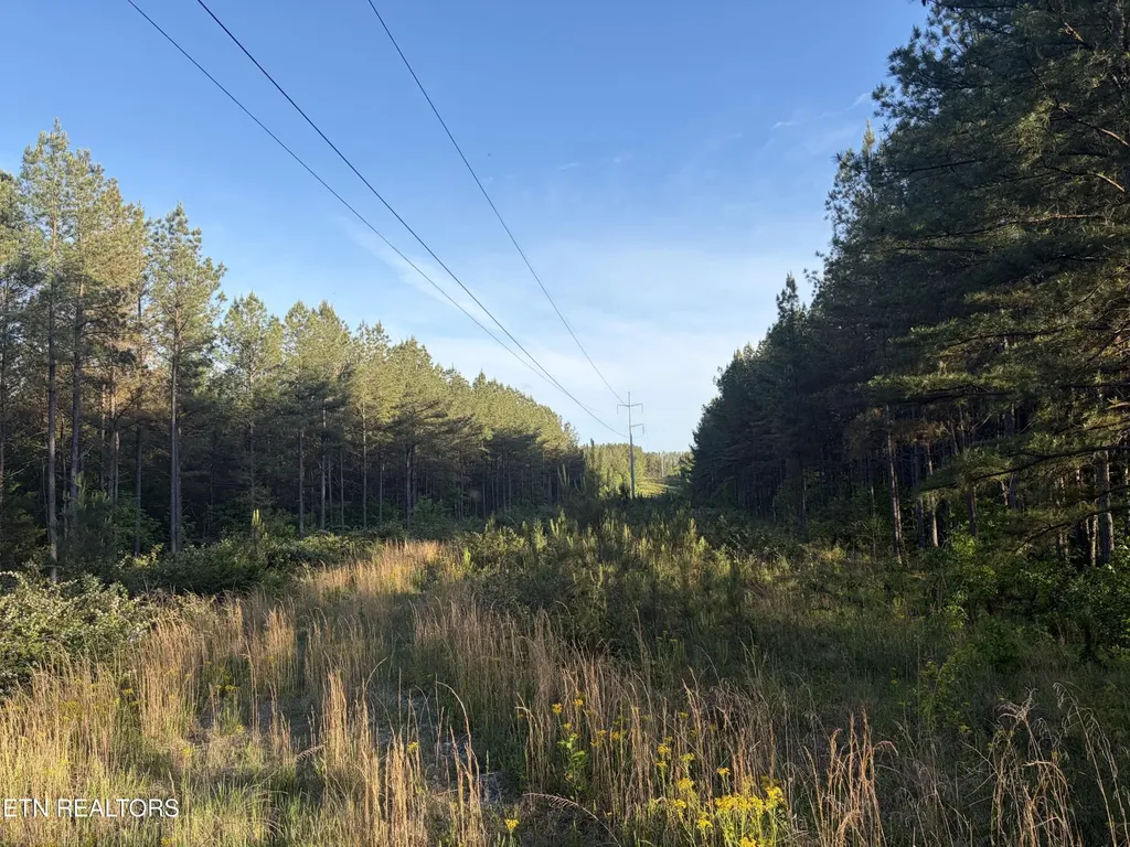 68 Black Bear Lane Sunbright TN 37872