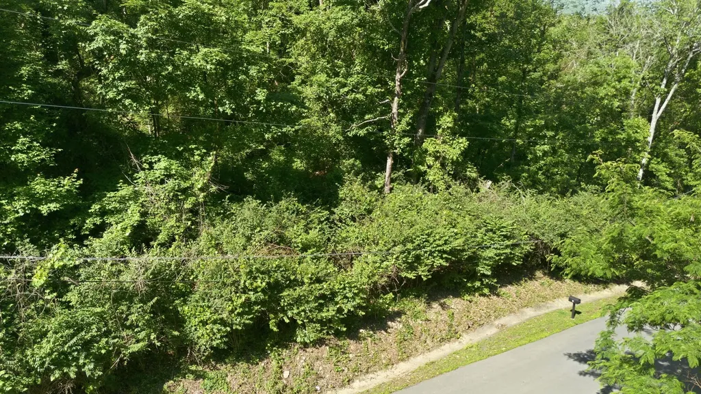 3 Saint James Place Nashville TN 37215