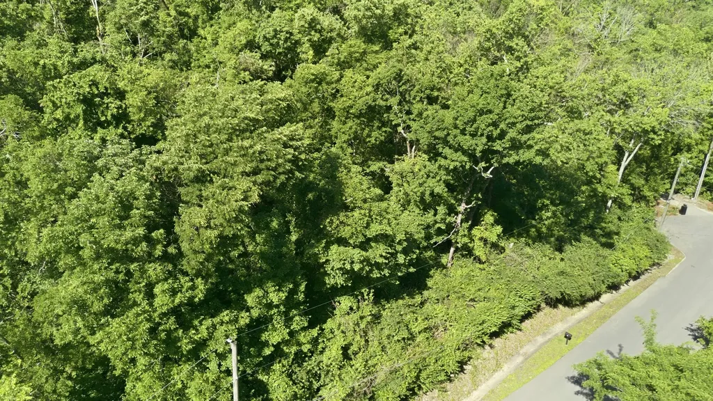3 Saint James Place Nashville TN 37215