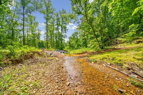 1 Budds Creek Road Palmyra TN 37142