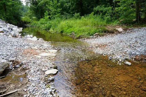 1 Budds Creek Road Palmyra TN 37142