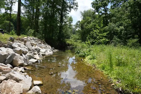 1 Budds Creek Road Palmyra TN 37142