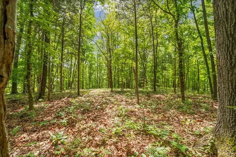 1 Budds Creek Road Palmyra TN 37142