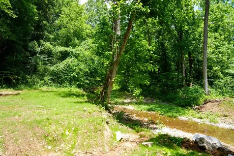 1 Budds Creek Road Palmyra TN 37142