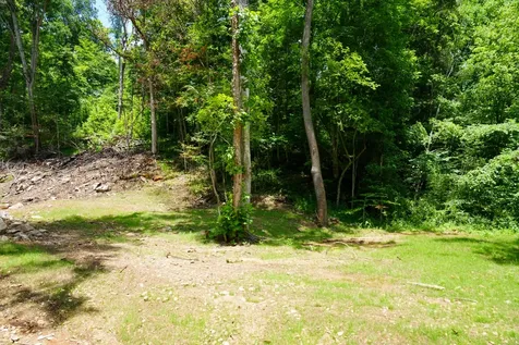 1 Budds Creek Road Palmyra TN 37142