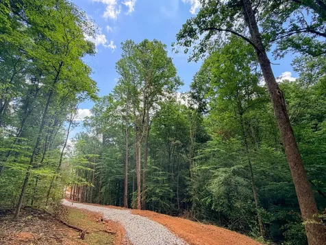 1 Budds Creek Road Palmyra TN 37142