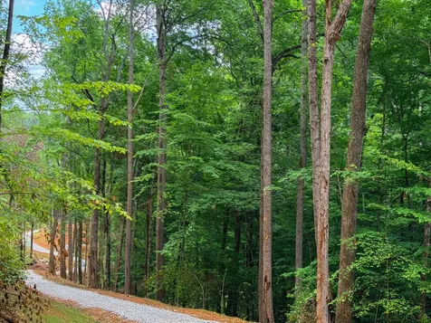 1 Budds Creek Road Palmyra TN 37142