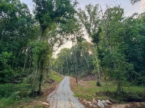 1 Budds Creek Road Palmyra TN 37142