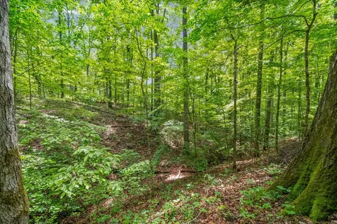 1 Budds Creek Road Palmyra TN 37142
