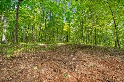 1 Budds Creek Road Palmyra TN 37142