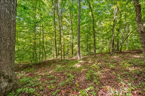 1 Budds Creek Road Palmyra TN 37142