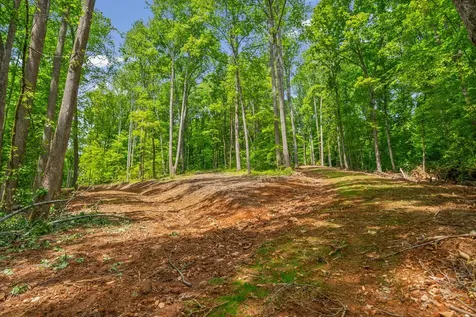 1 Budds Creek Road Palmyra TN 37142