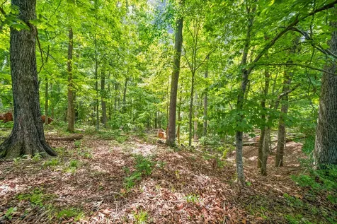 1 Budds Creek Road Palmyra TN 37142