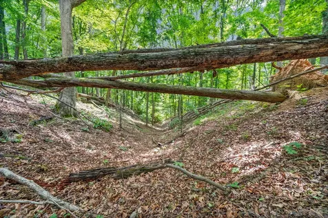 1 Budds Creek Road Palmyra TN 37142