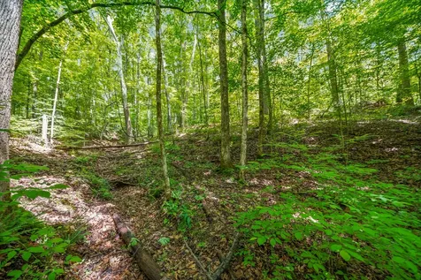 1 Budds Creek Road Palmyra TN 37142