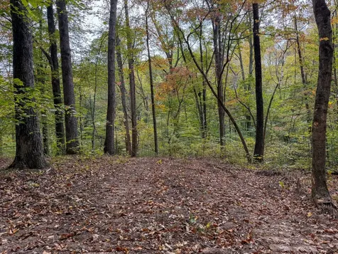 1 Budds Creek Road Palmyra TN 37142