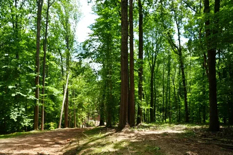 1 Budds Creek Road Palmyra TN 37142