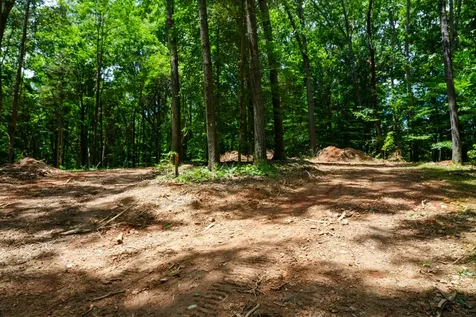 1 Budds Creek Road Palmyra TN 37142