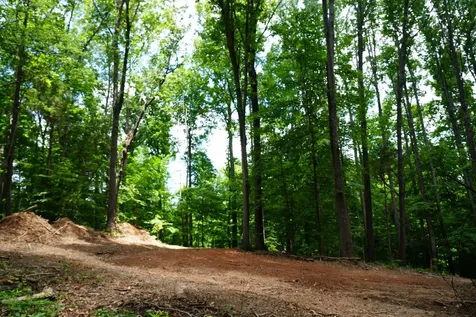 1 Budds Creek Road Palmyra TN 37142