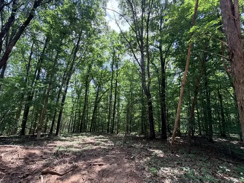 1 Budds Creek Road Palmyra TN 37142