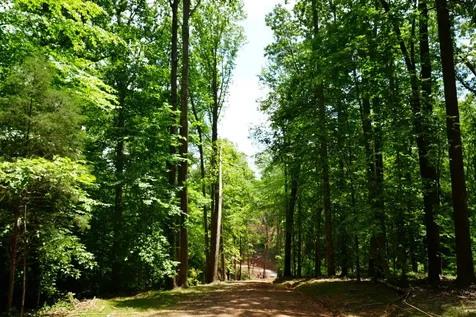 1 Budds Creek Road Palmyra TN 37142