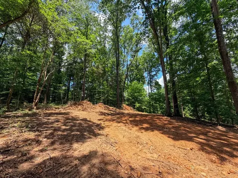 1 Budds Creek Road Palmyra TN 37142