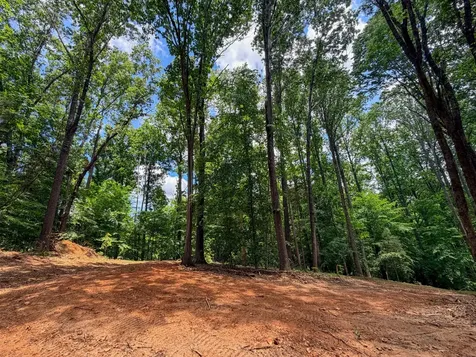 1 Budds Creek Road Palmyra TN 37142