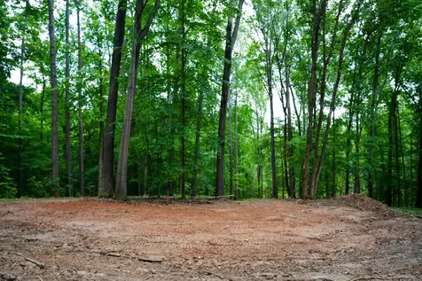 1 Budds Creek Road Palmyra TN 37142