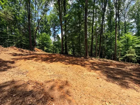 1 Budds Creek Road Palmyra TN 37142