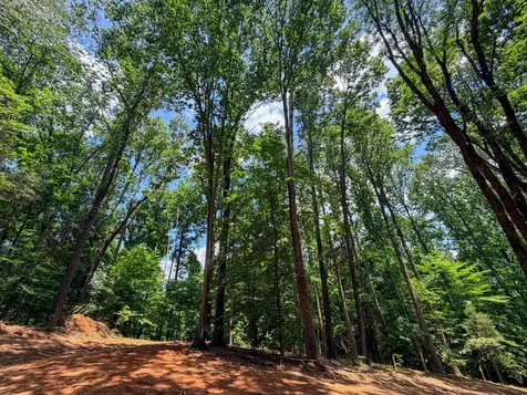1 Budds Creek Road Palmyra TN 37142