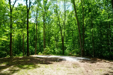 1 Budds Creek Road Palmyra TN 37142