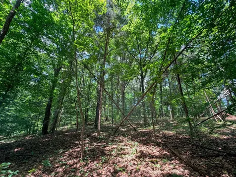 1 Budds Creek Road Palmyra TN 37142