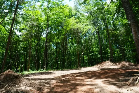 1 Budds Creek Road Palmyra TN 37142