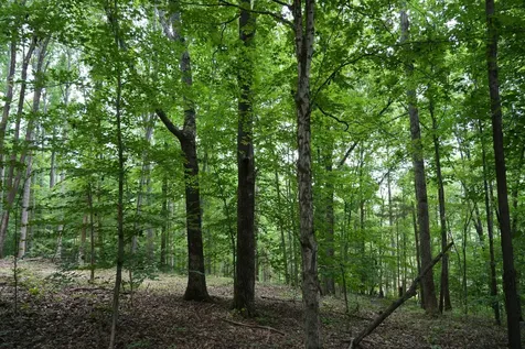 1 Budds Creek Road Palmyra TN 37142