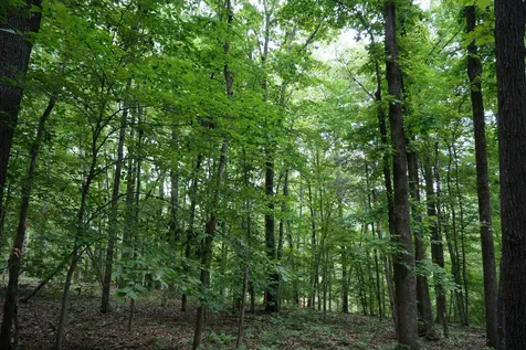 1 Budds Creek Road Palmyra TN 37142