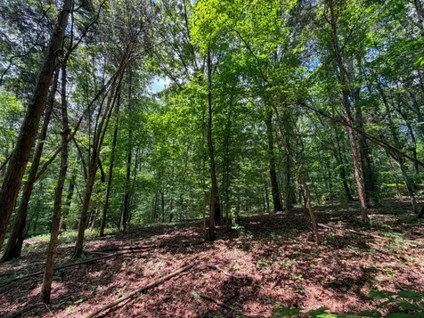 1 Budds Creek Road Palmyra TN 37142
