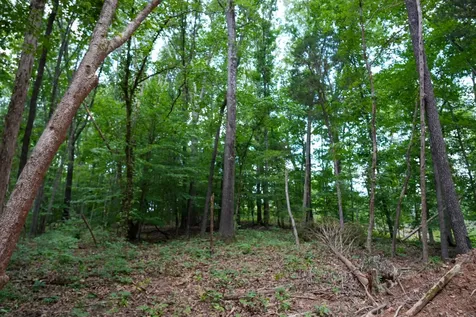 1 Budds Creek Road Palmyra TN 37142