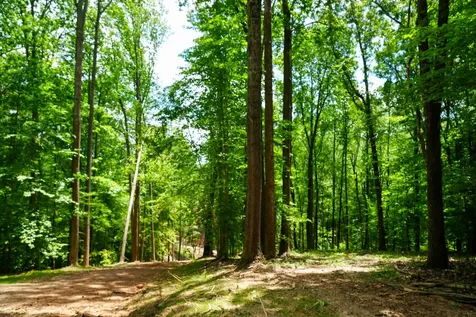 1 Budds Creek Road Palmyra TN 37142