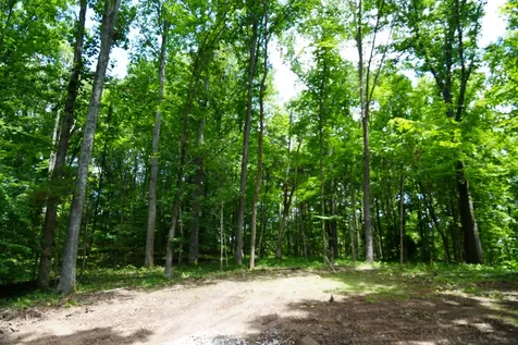 1 Budds Creek Road Palmyra TN 37142