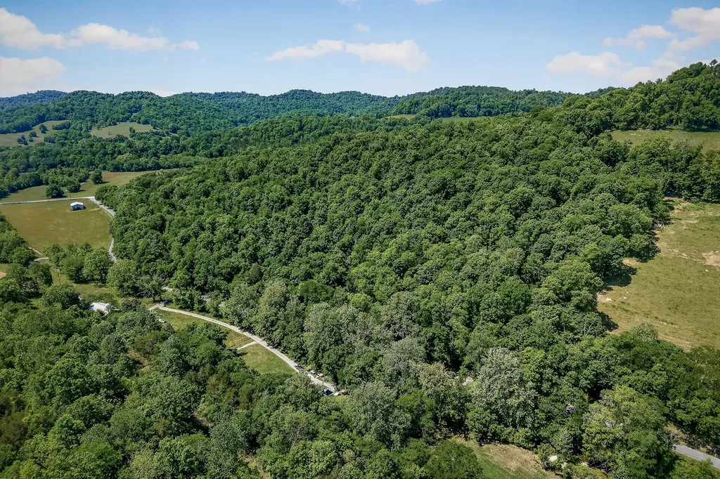 914 Wartrace Highway Pleasant Shade TN 37145