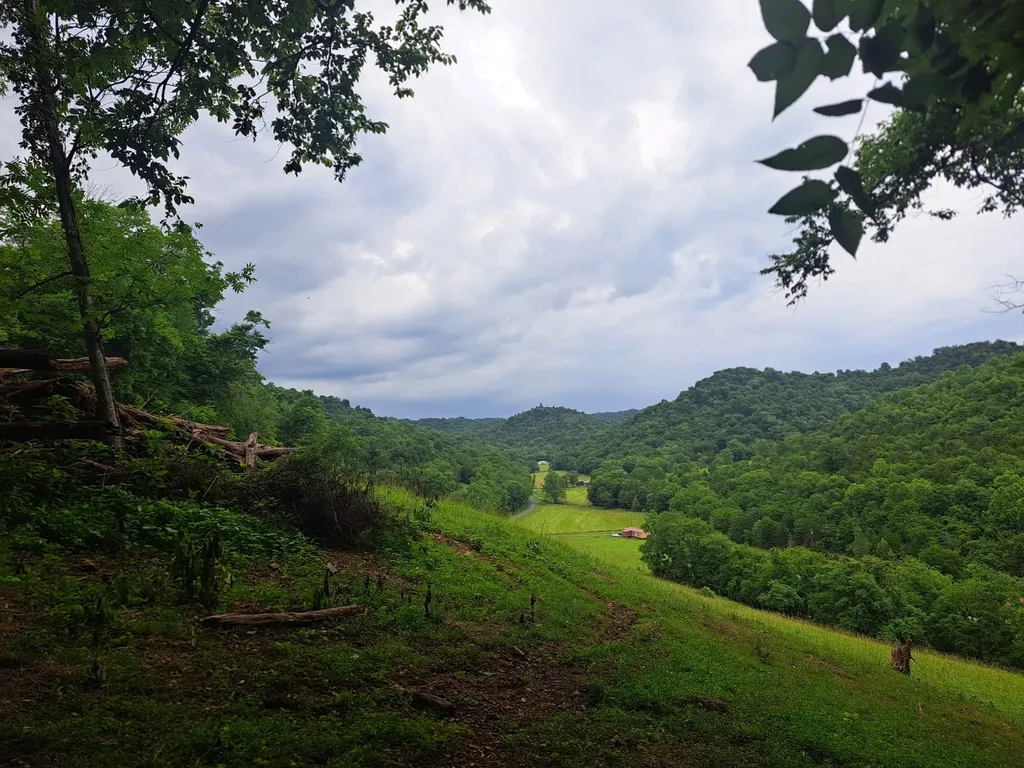914 Wartrace Highway Pleasant Shade TN 37145