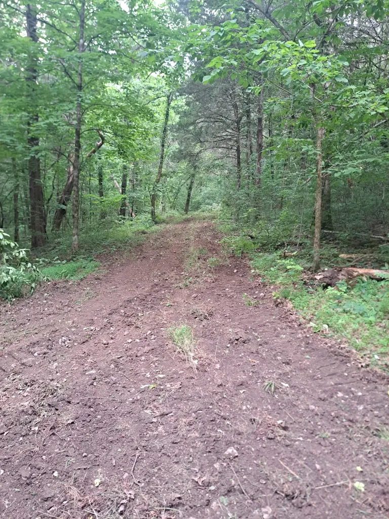 914 Wartrace Highway Pleasant Shade TN 37145