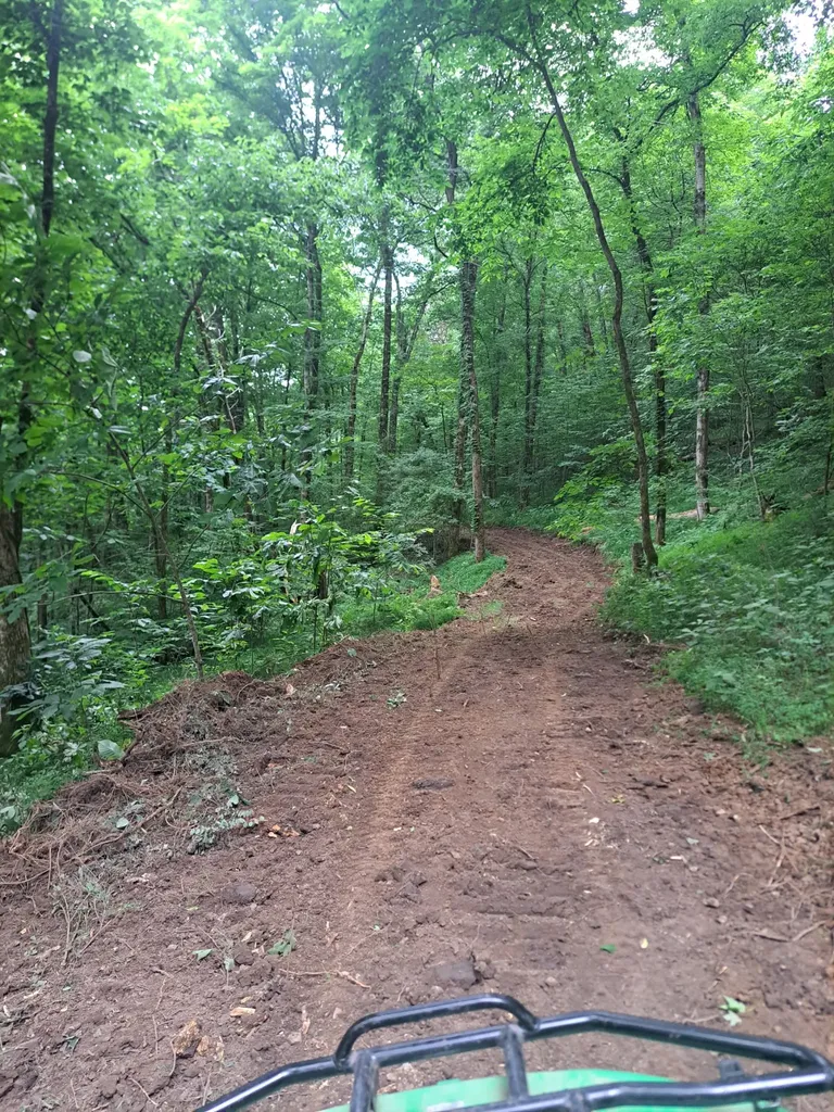 914 Wartrace Highway Pleasant Shade TN 37145
