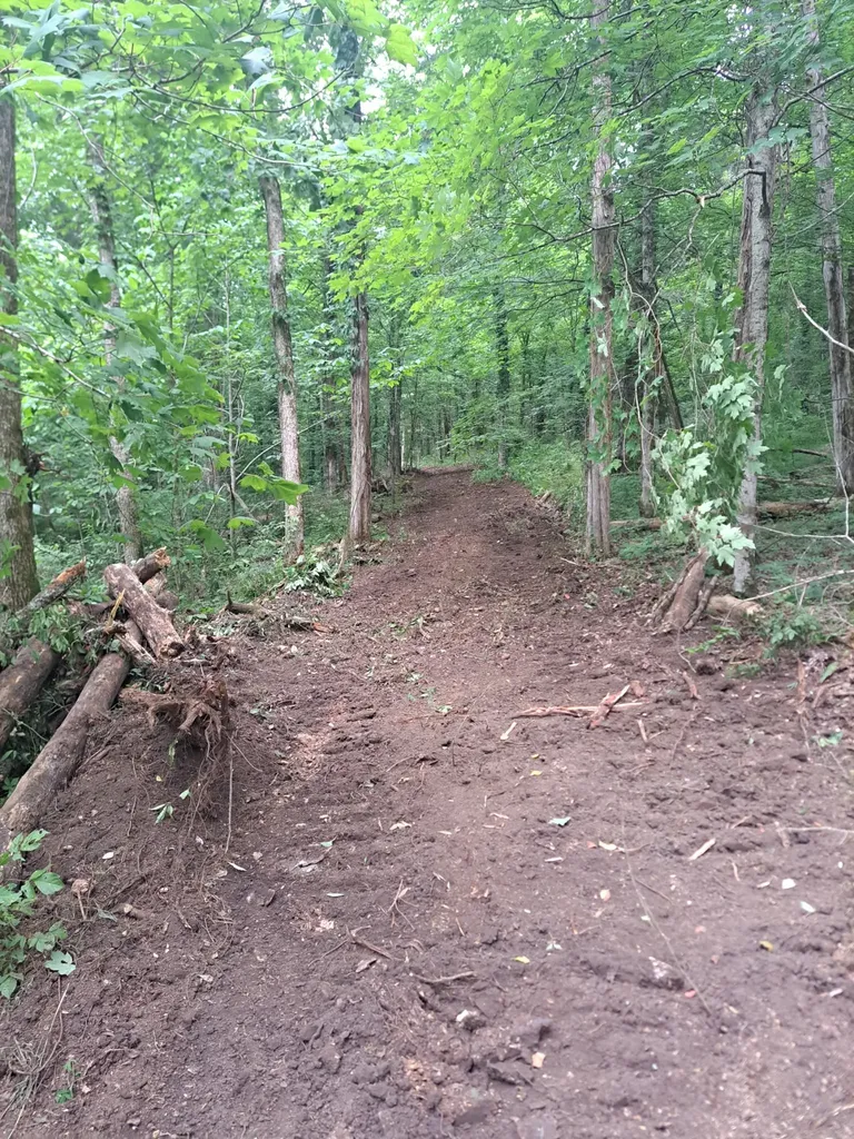 914 Wartrace Highway Pleasant Shade TN 37145