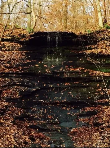 4754 Ridgetop Road Hampshire TN 38461