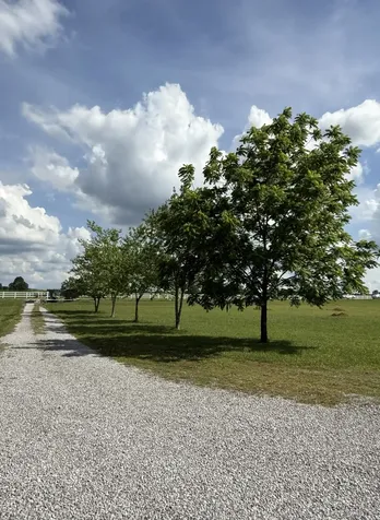 3168 Maxey Road Cedar Hill TN 37032