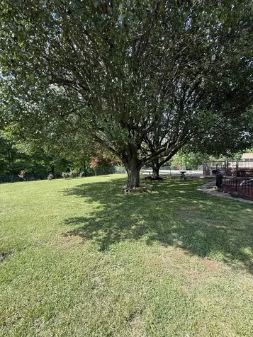 3168 Maxey Road Cedar Hill TN 37032